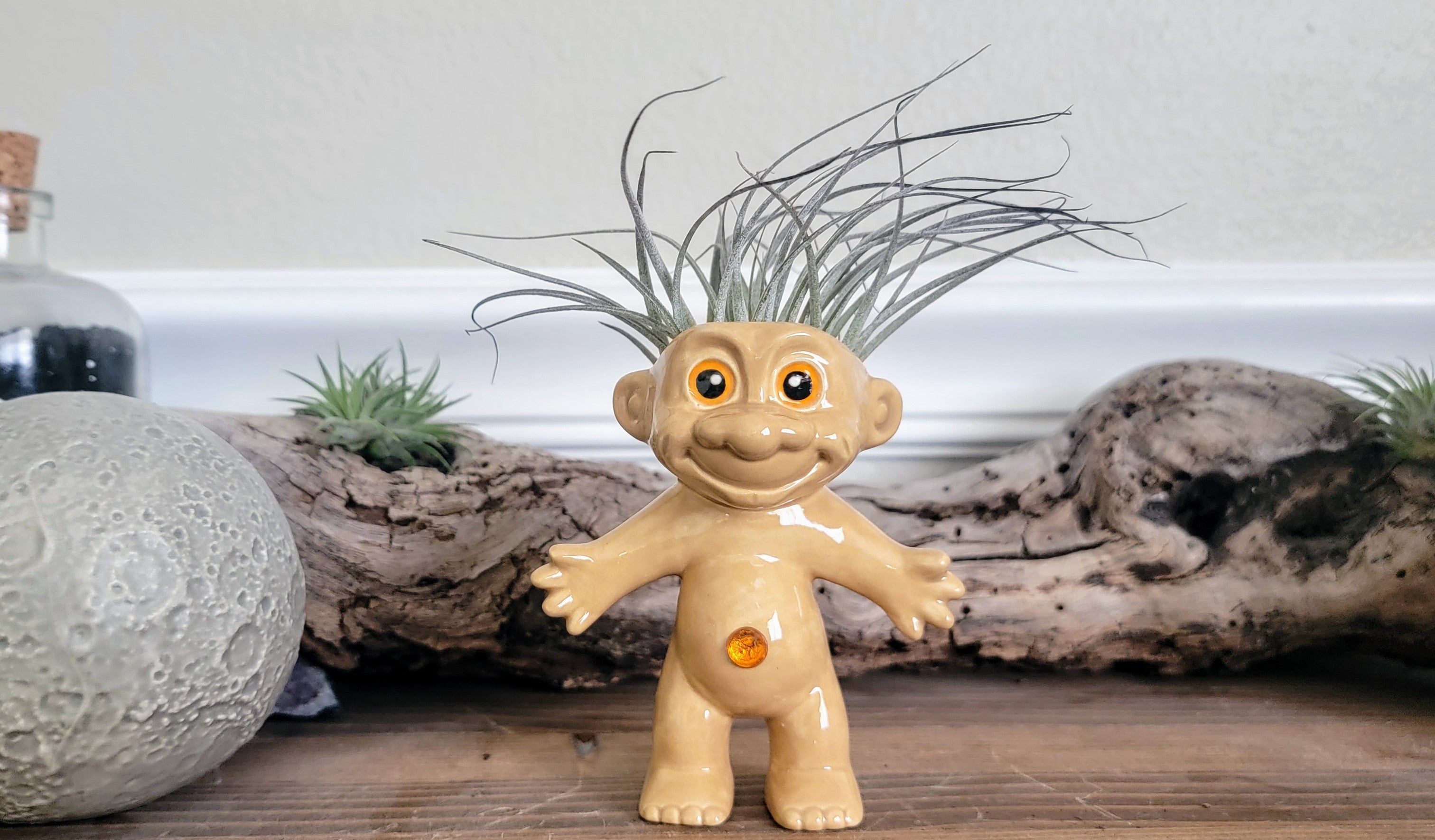 Treasure Troll Air Plant Holder