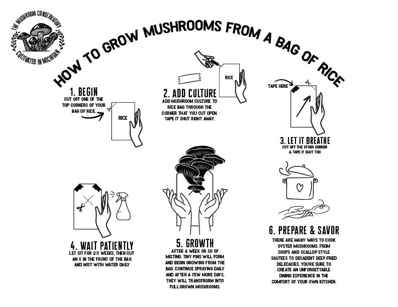 Pink Oyster Mushroom Growing Kit