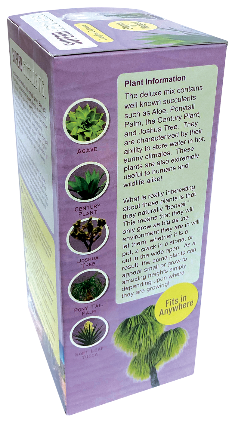 Superb Succulents Glass Terrarium Seed Starting Kit