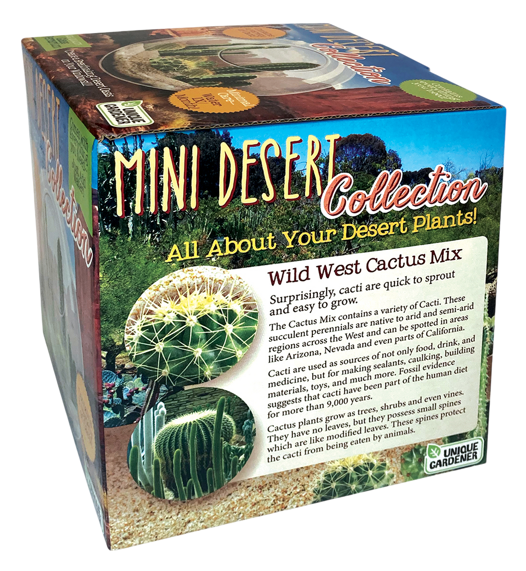 Mini Desert Collection Glass Terrarium Cacti Seed Starting Kit