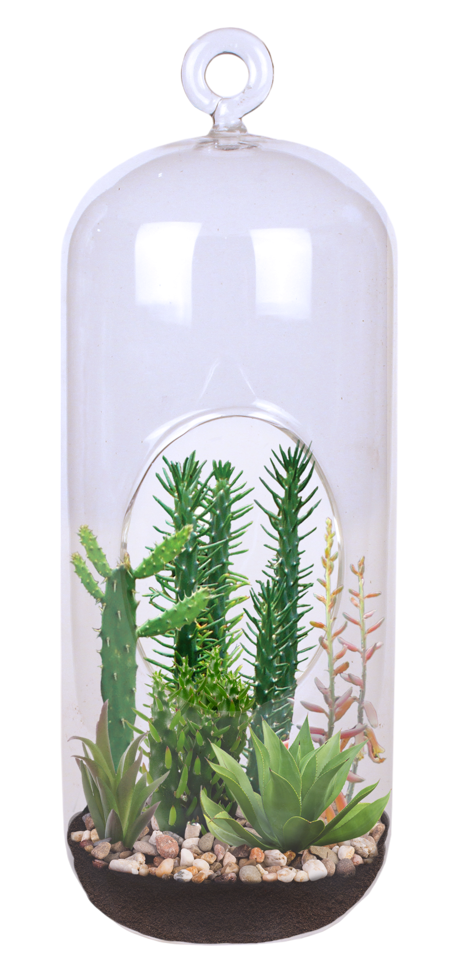 Superb Succulents Glass Terrarium Seed Starting Kit