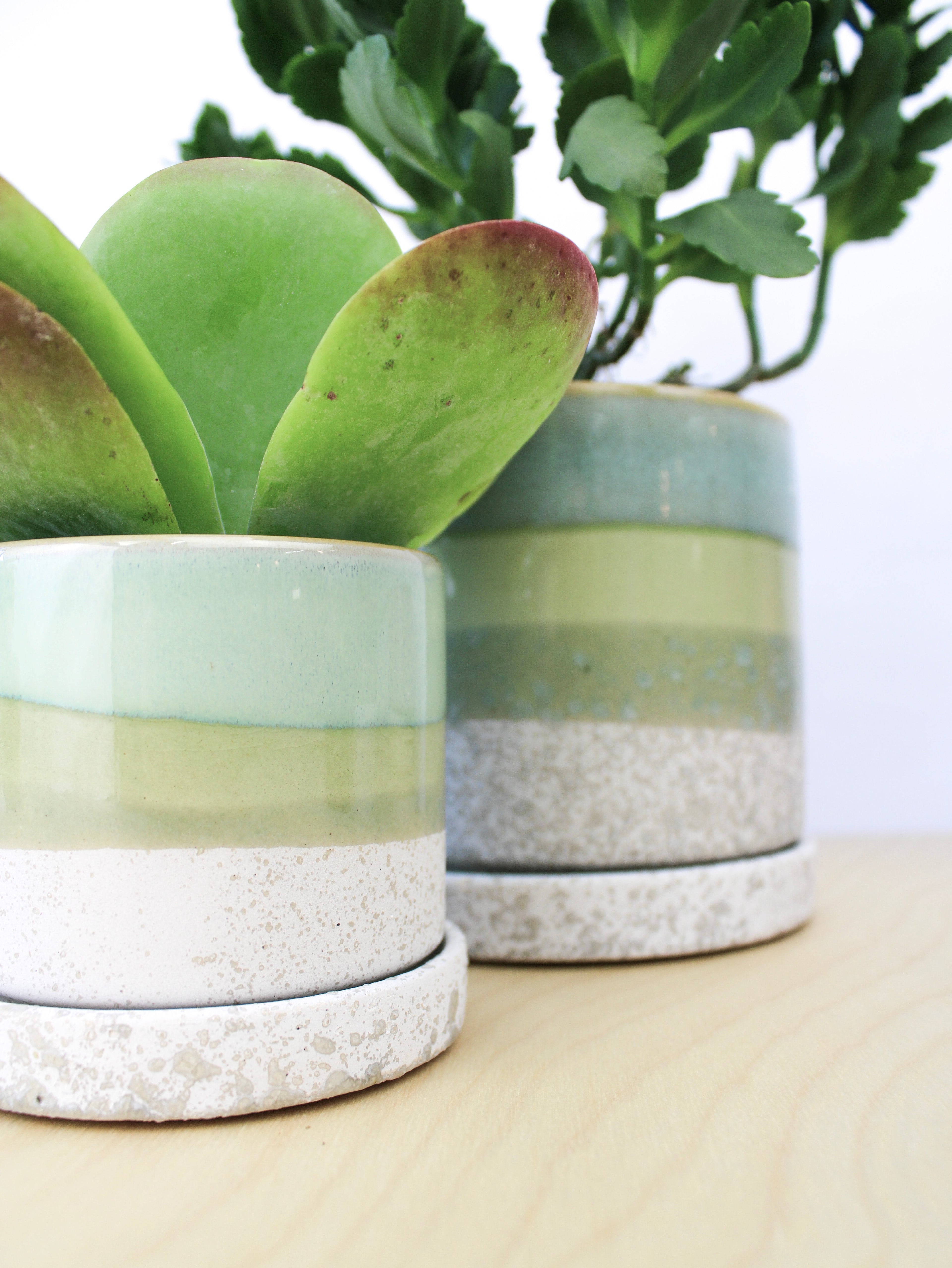 Cement Green Ceramic Plant Pot and Saucer