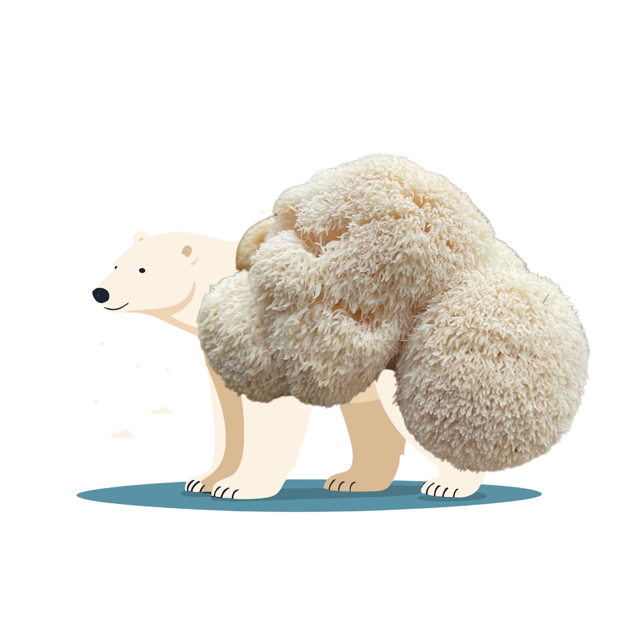 Eskimush Bear - Lion's Mane Mushroom Grow Kit - 6.5 LBS