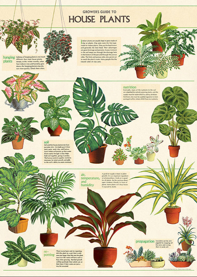 House Plants Scientific Chart
