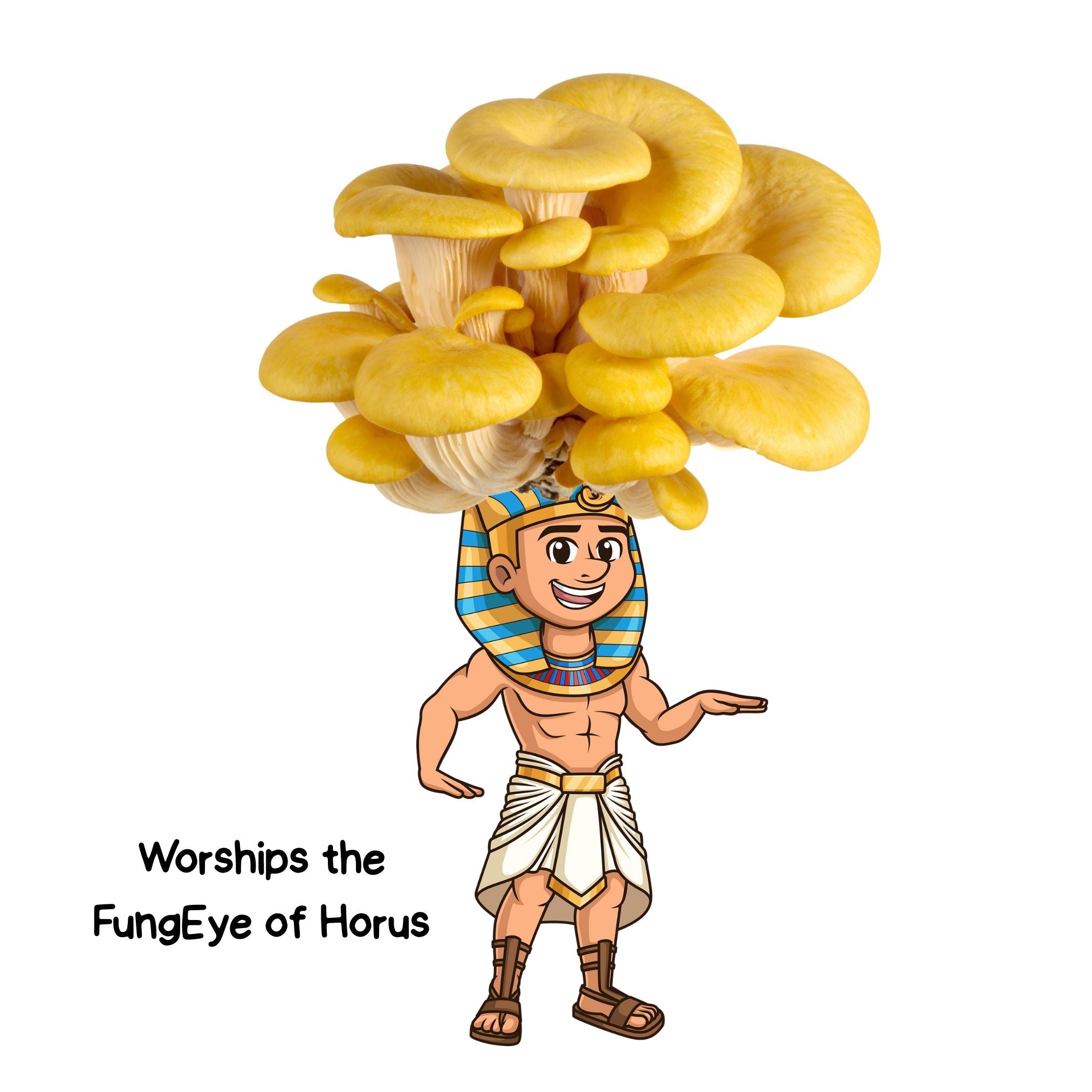 Fungi Pharaoh - Gold Oyster Mushroom Grow Kit - 6.5 LBS