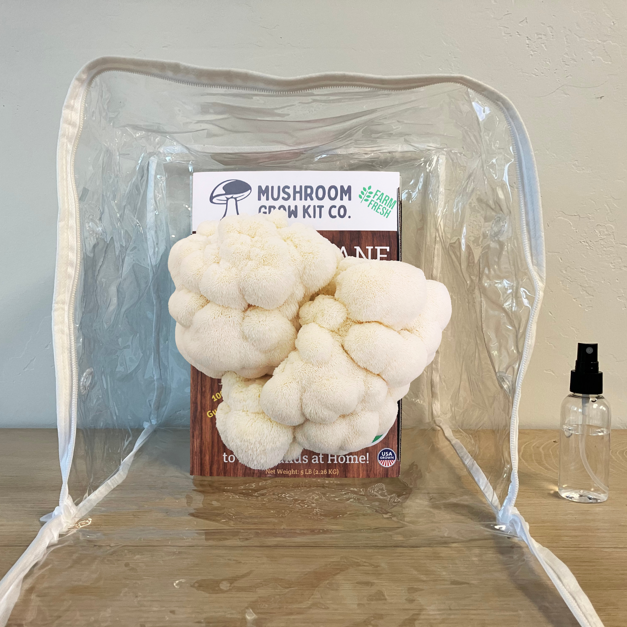 Premium Lion's Mane Mushroom Growing Kit - 5 LBS