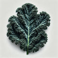 Kale (Mamba) (4x)