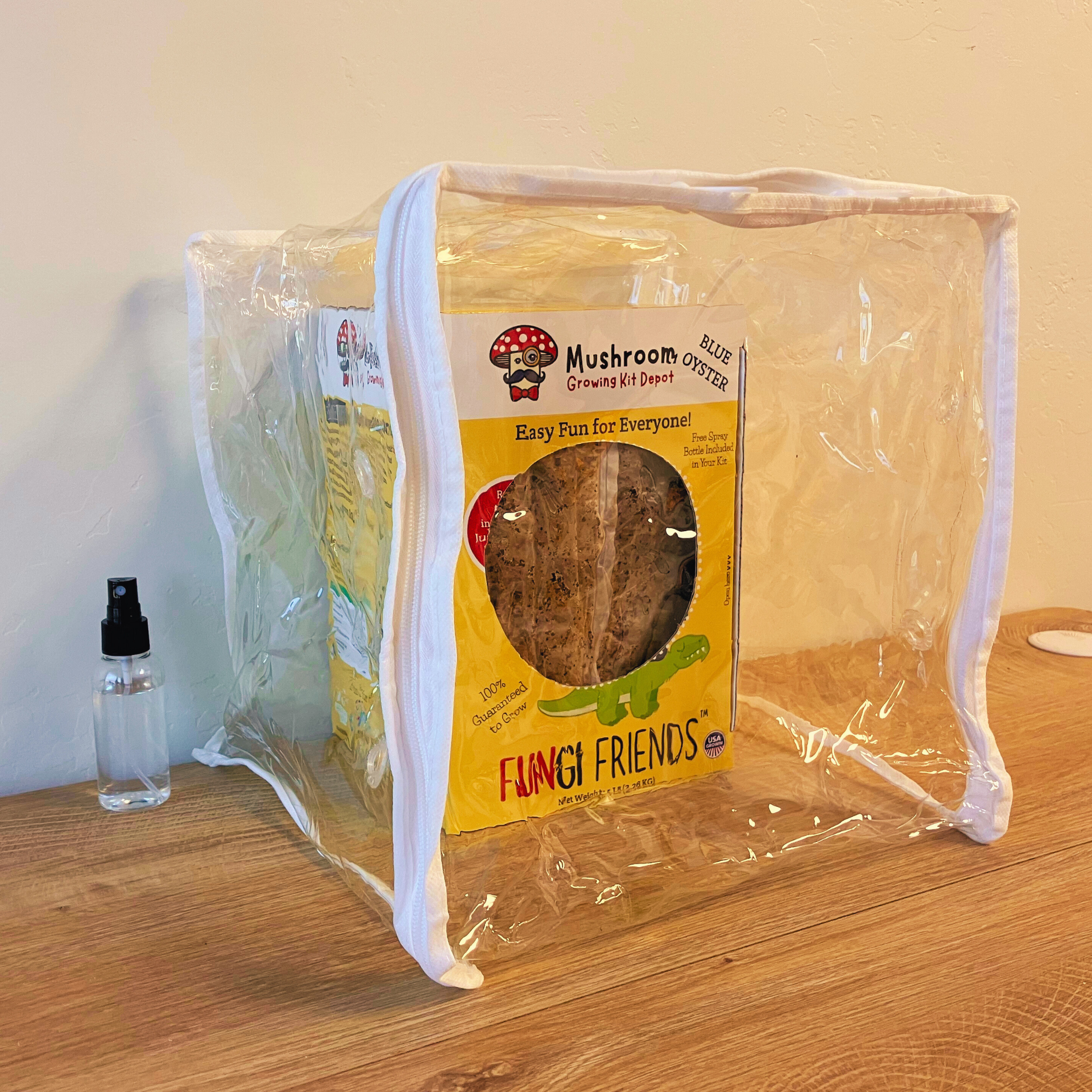 Mushasaurus - Blue Oyster Mushroom Grow Kit - 5 LBS (with box)