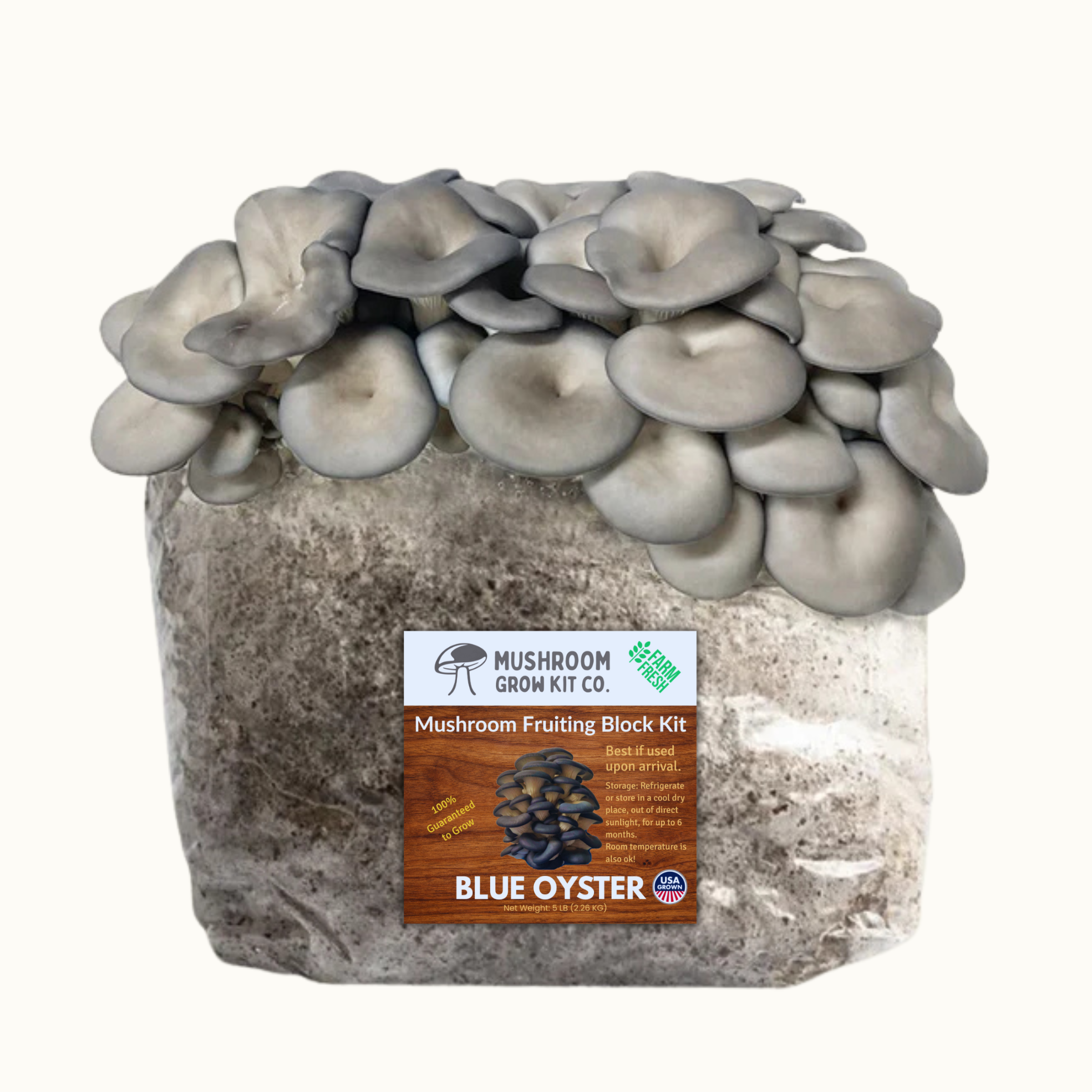 Premium Blue Oyster Mushroom Fruiting Block Grow Kit - 5 LBS