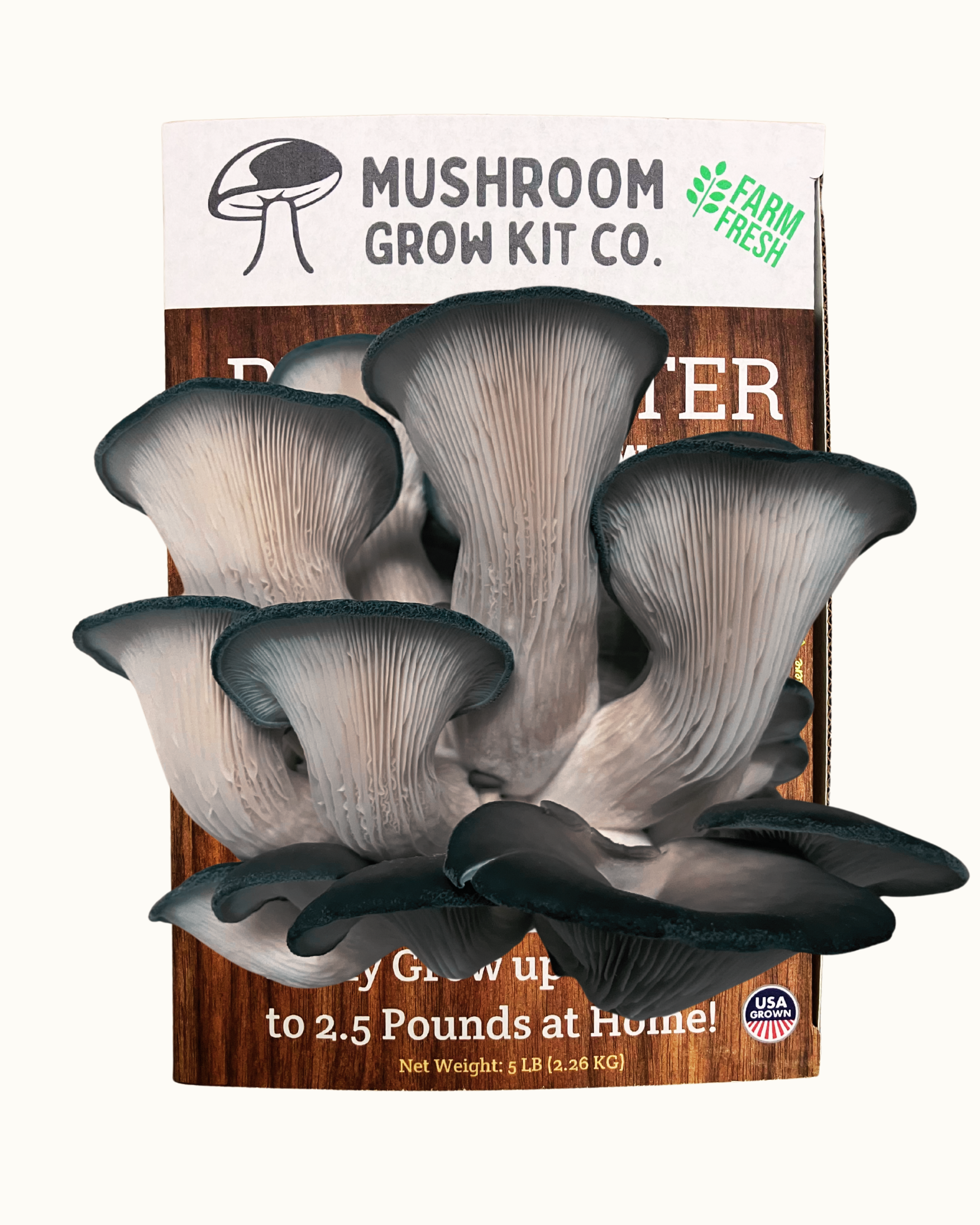 Premium Blue Oyster Mushroom Growing Kit - 5 LBS