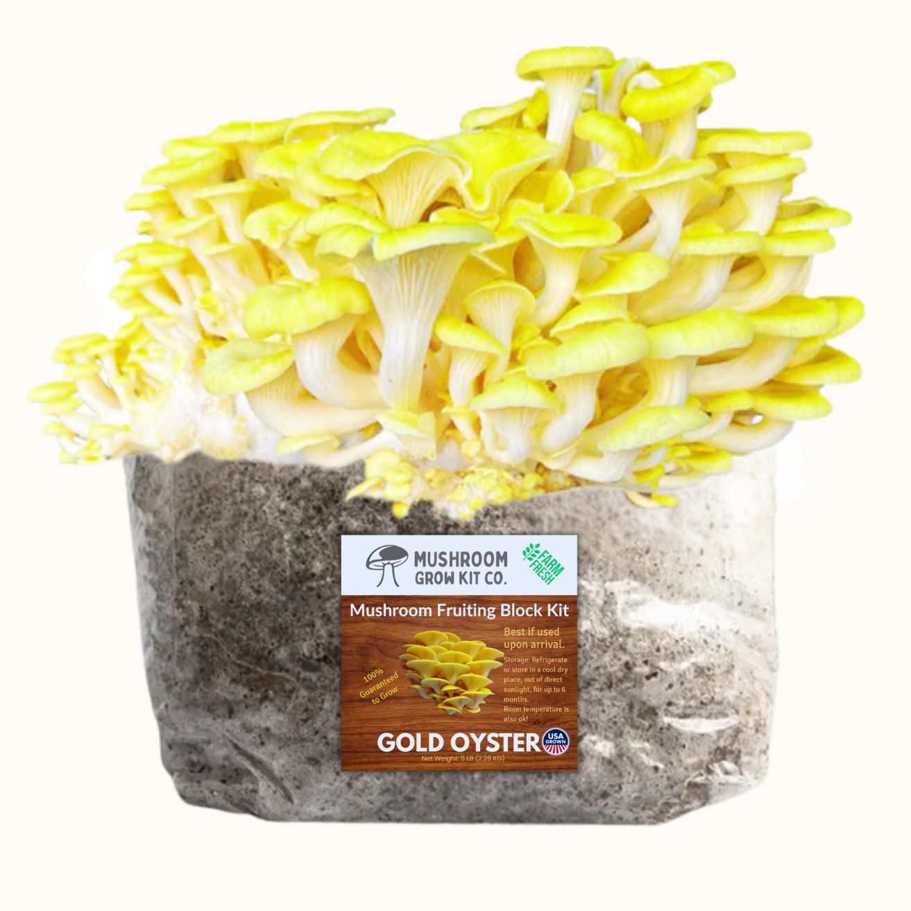 3 Pack - Premium Gold, Pink, and Blue Oyster Mushroom Fruiting Block Grow Kits - 15 LBS