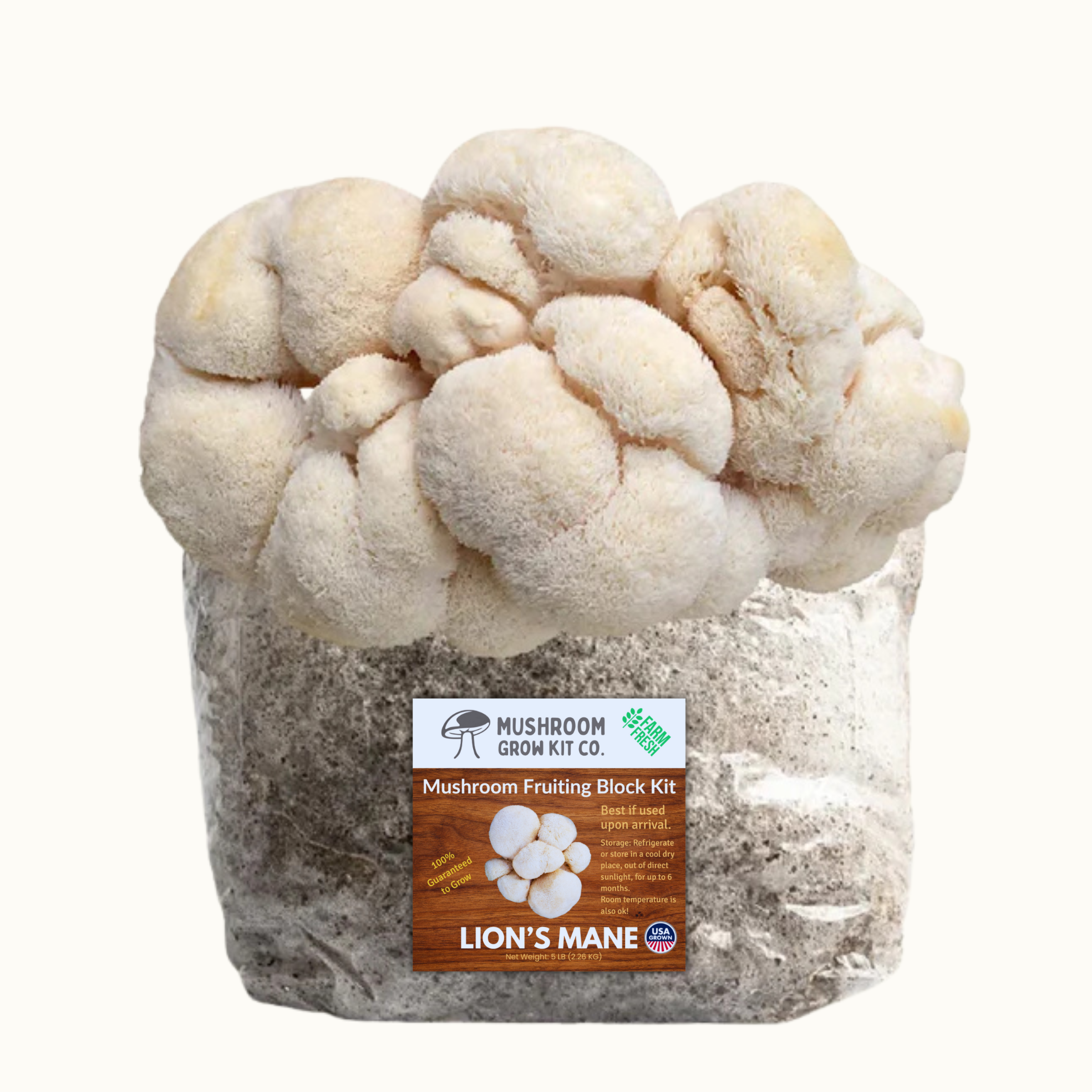 4 Pack - Premium Lion's Mane, Gold, Pink, and Blue Oyster Mushroom Fruiting Block Grow Kits - 20 LBS