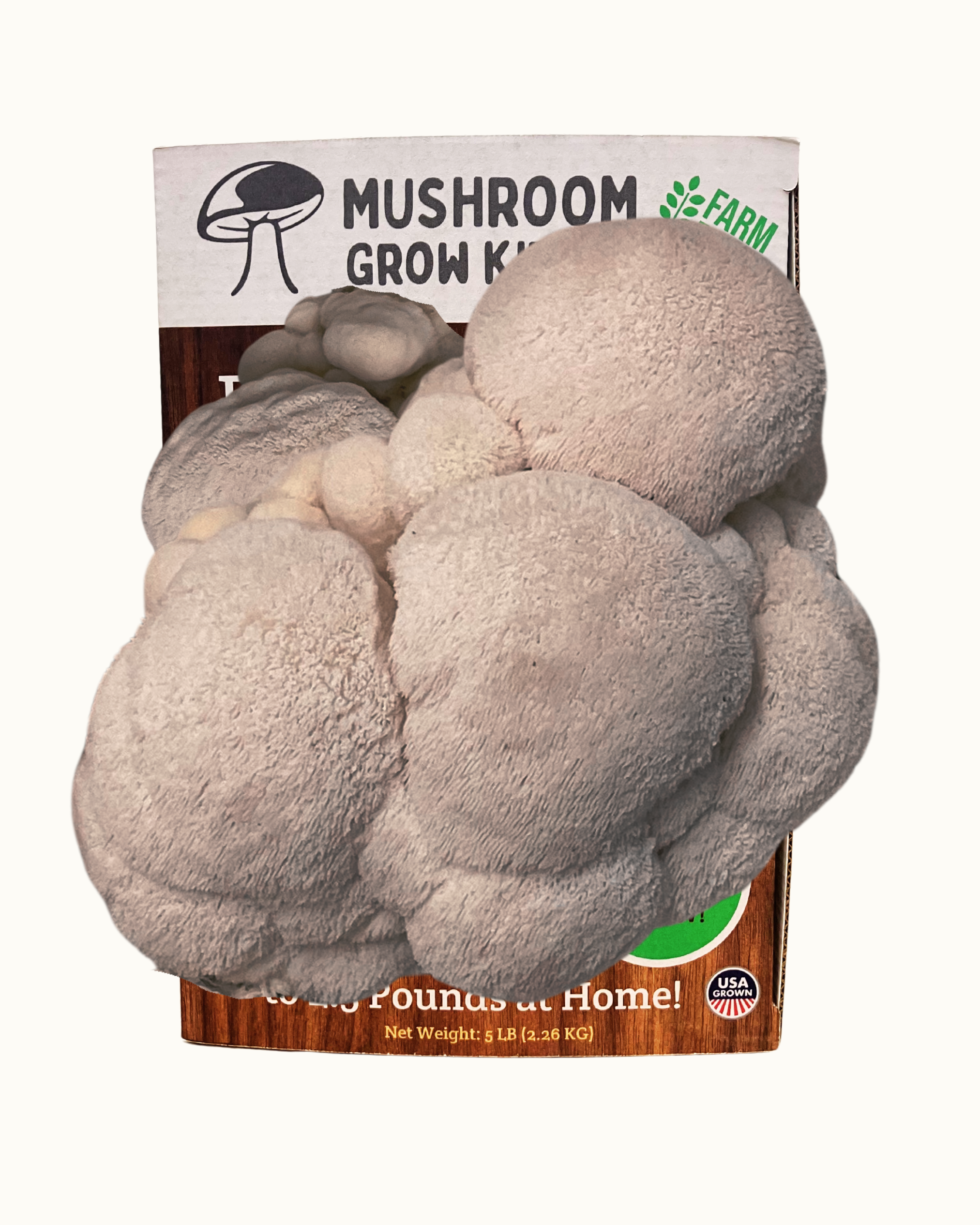 Premium Lion's Mane Mushroom Growing Kit - 5 LBS