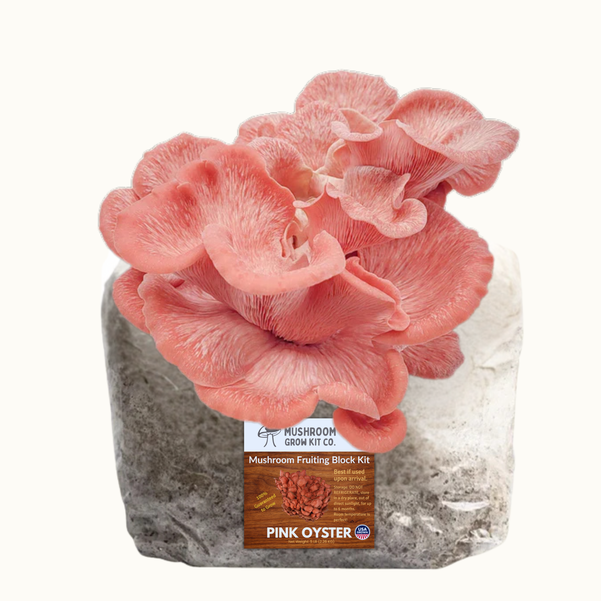3 Pack - Premium Gold, Pink, and Blue Oyster Mushroom Fruiting Block Grow Kits - 15 LBS