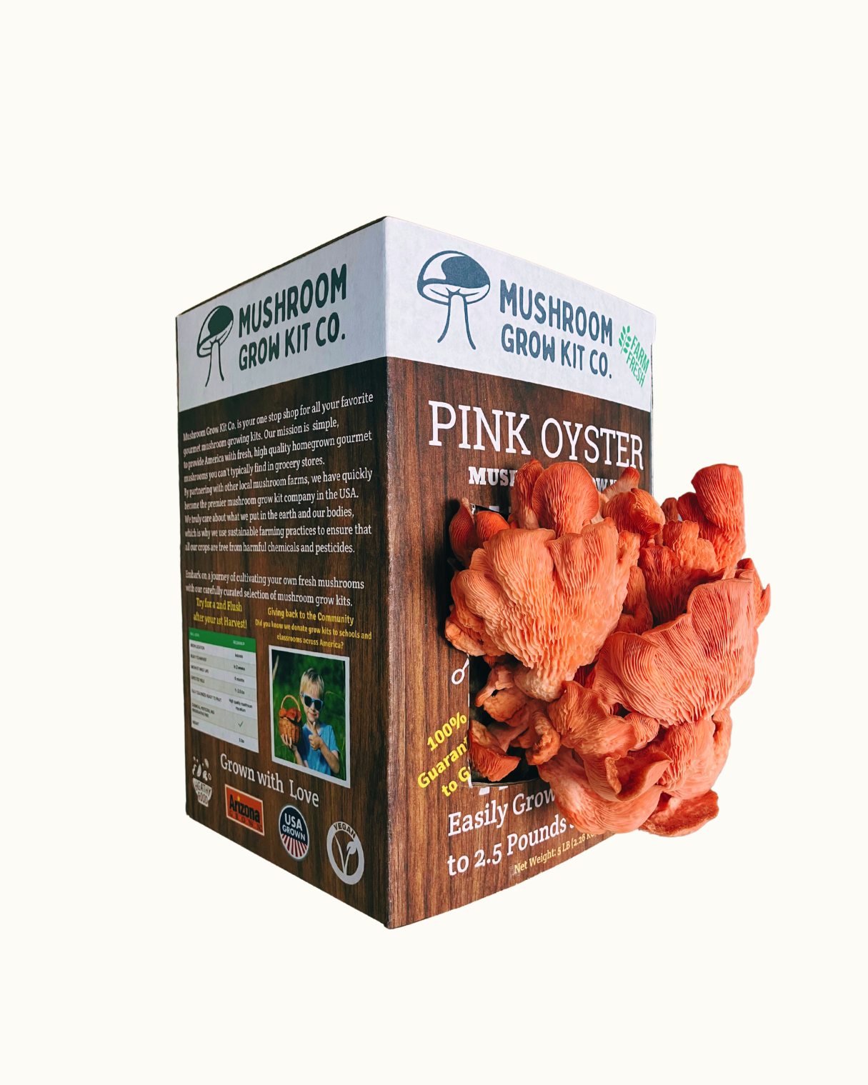 Premium Pink Oyster Mushroom Growing Kit - 5 LBS