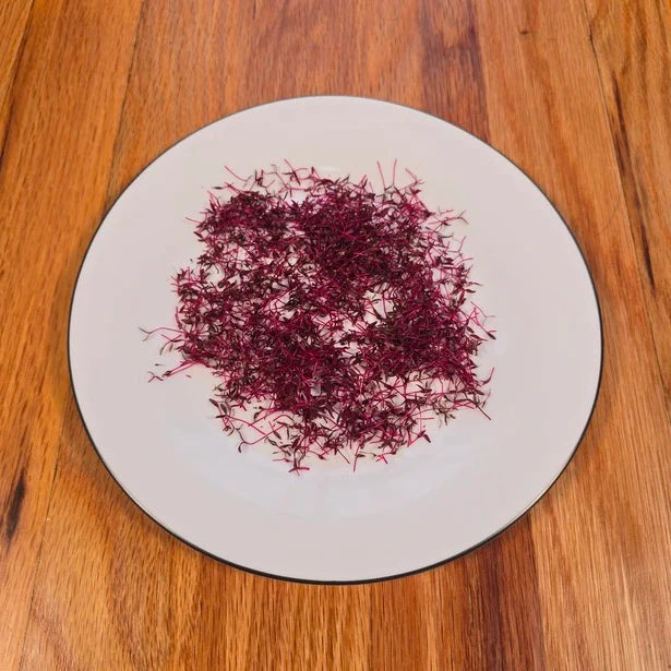 Amaranth (Garnet Red)