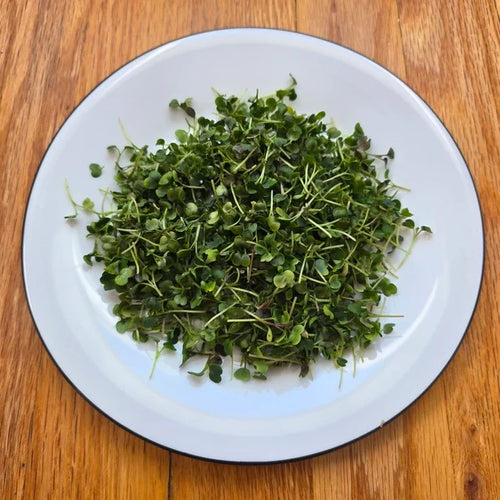 Arugula