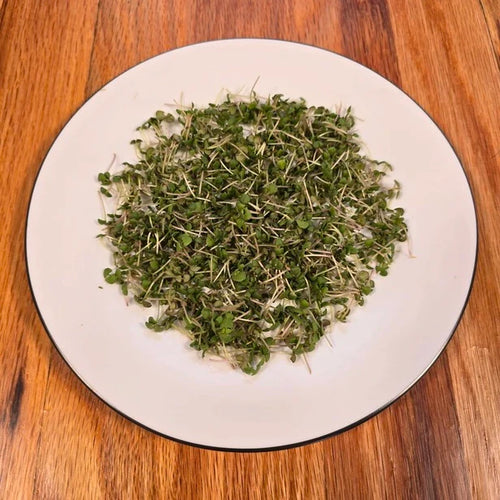 Basil (Lemon)