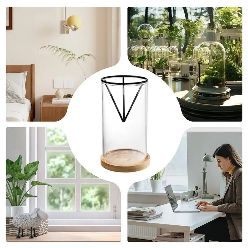 DecorBites™ 3-Piece Clear Glass Hydroponic Avocado Planting Set