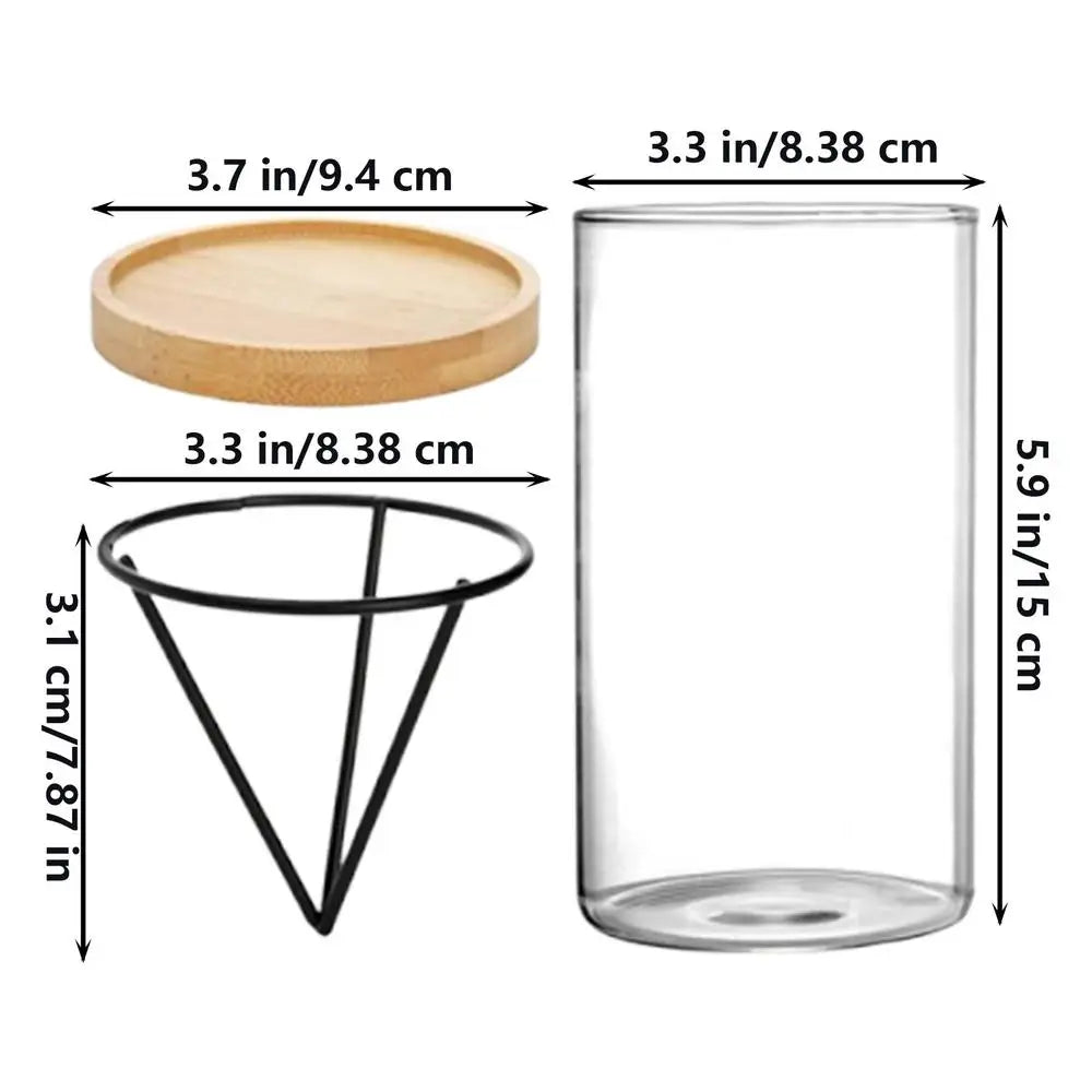 DecorBites™ 3-Piece Clear Glass Hydroponic Avocado Planting Set