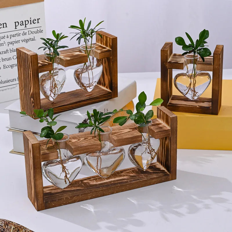 DecorBites™ Glass Vase Terrarium with Wooden Frame