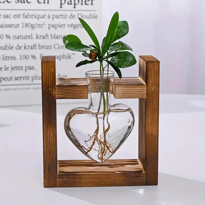 DecorBites™ Glass Vase Terrarium with Wooden Frame