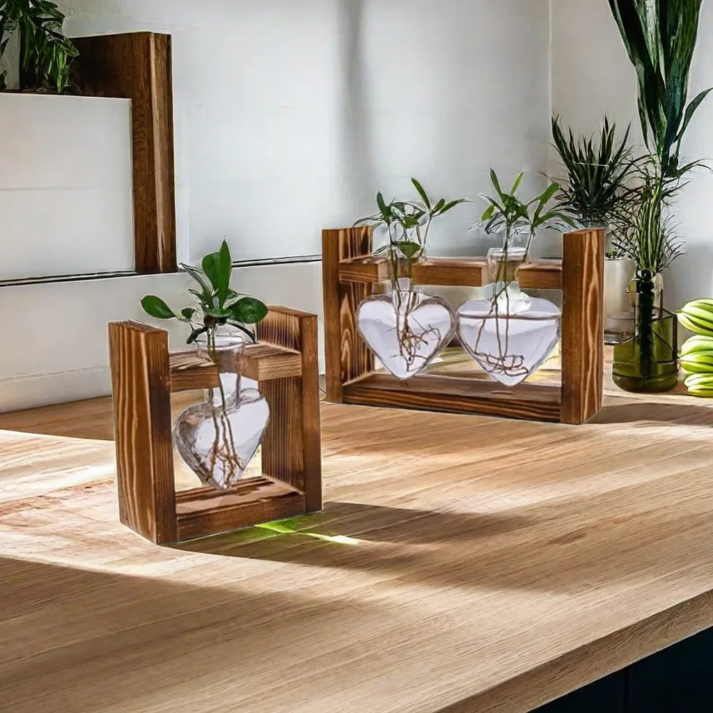 DecorBites™ Glass Vase Terrarium with Wooden Frame