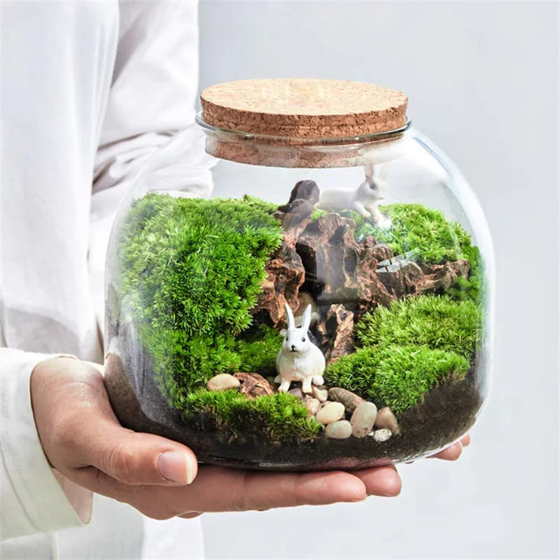 DecorBites™ Green Moss Glass Vase Terrarium Container