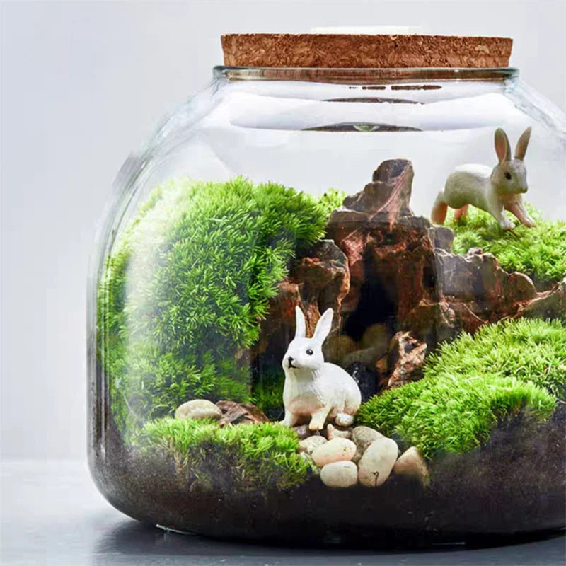 DecorBites™ Green Moss Glass Vase Terrarium Container