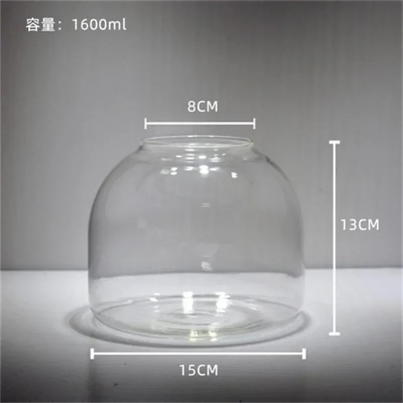 DecorBites™ Green Moss Glass Vase Terrarium Container