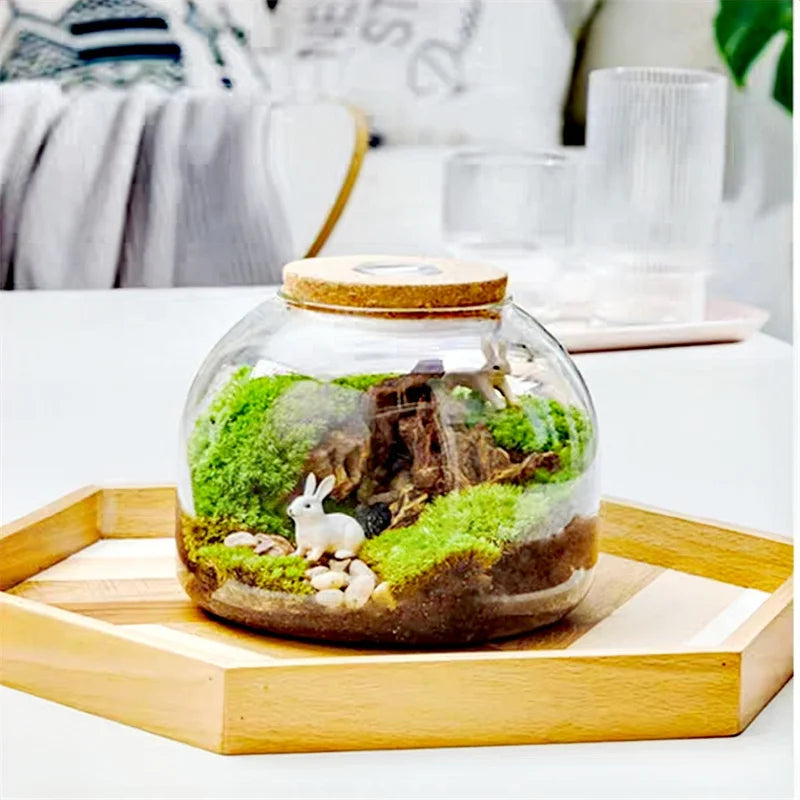DecorBites™ Green Moss Glass Vase Terrarium Container