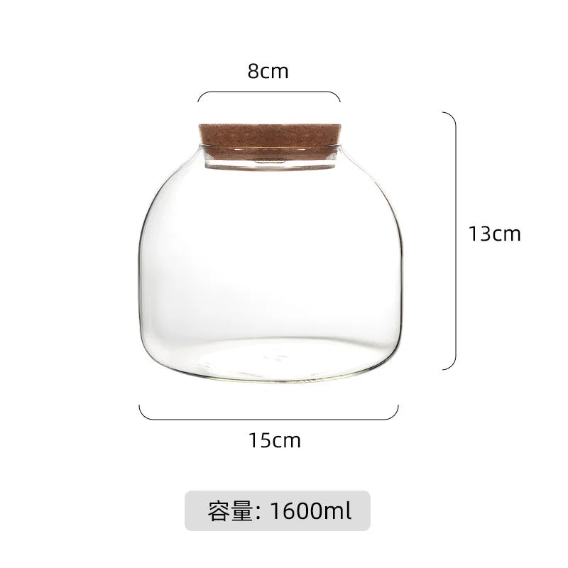 DecorBites™ Green Moss Glass Vase Terrarium Container