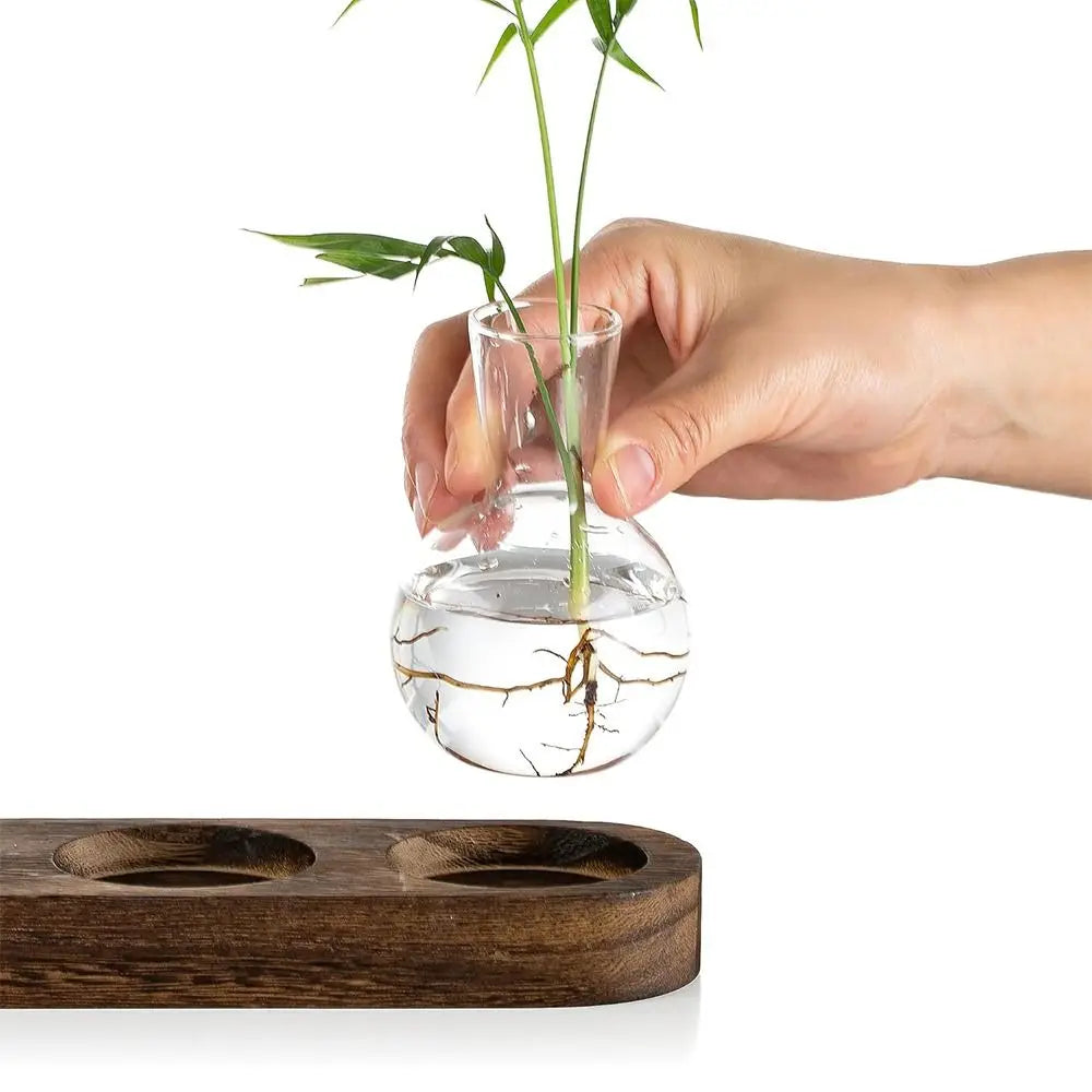 DecorBites™ Hydroponic Glass Vase with Wooden Tray