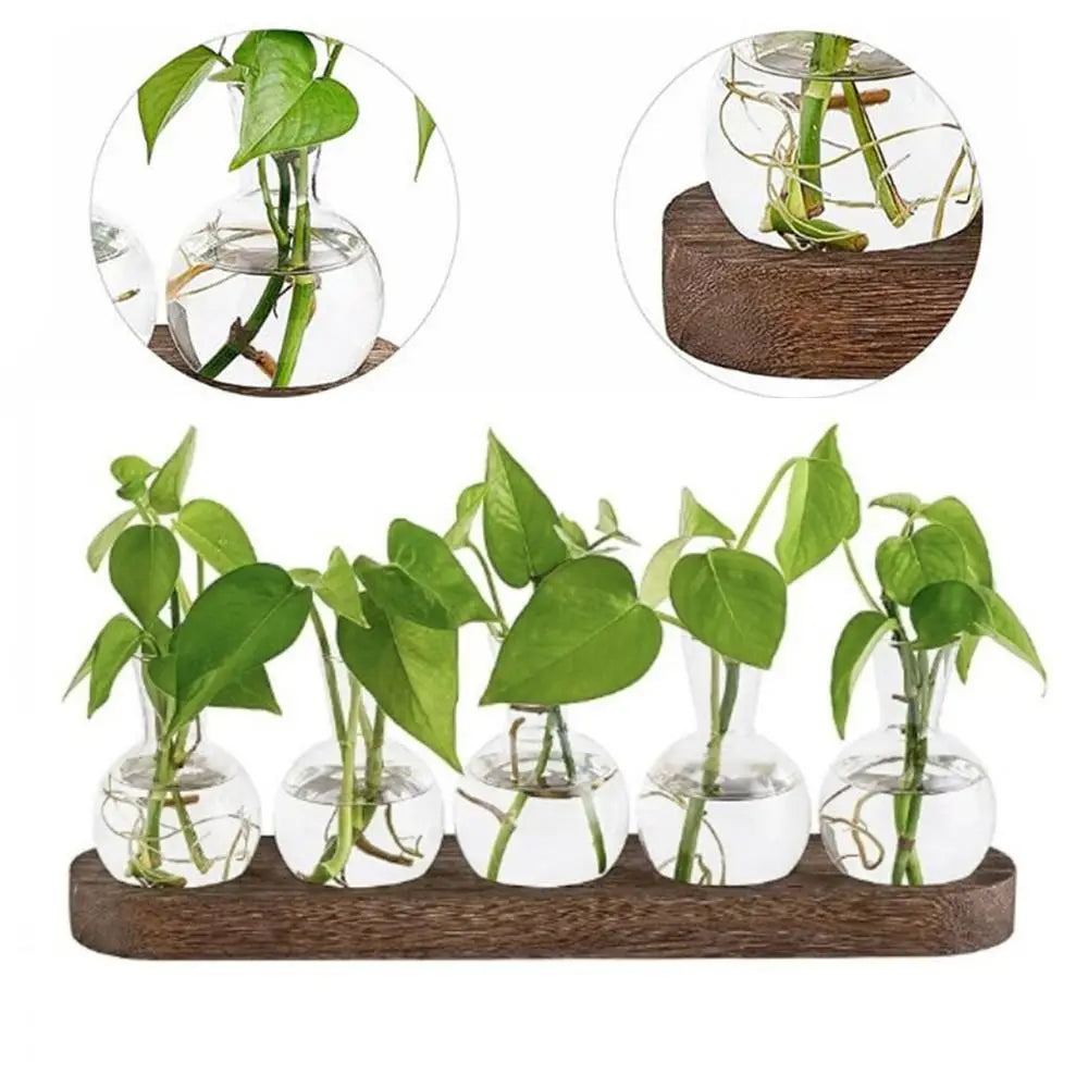 DecorBites™ Hydroponic Glass Vase with Wooden Tray