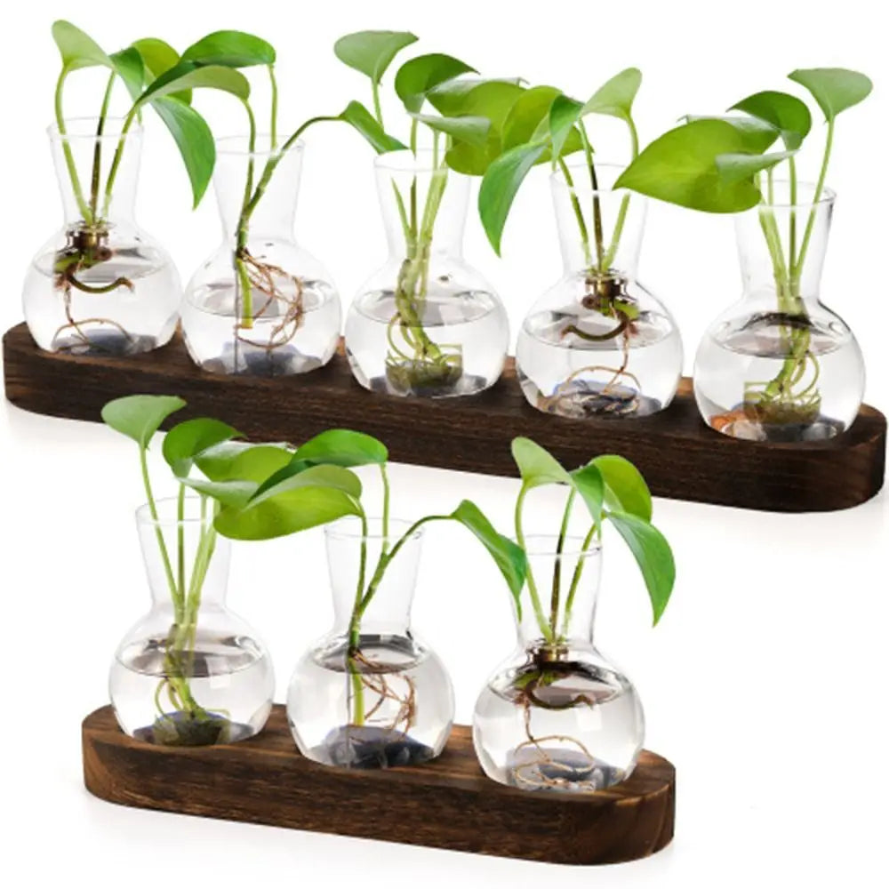 DecorBites™ Hydroponic Glass Vase with Wooden Tray