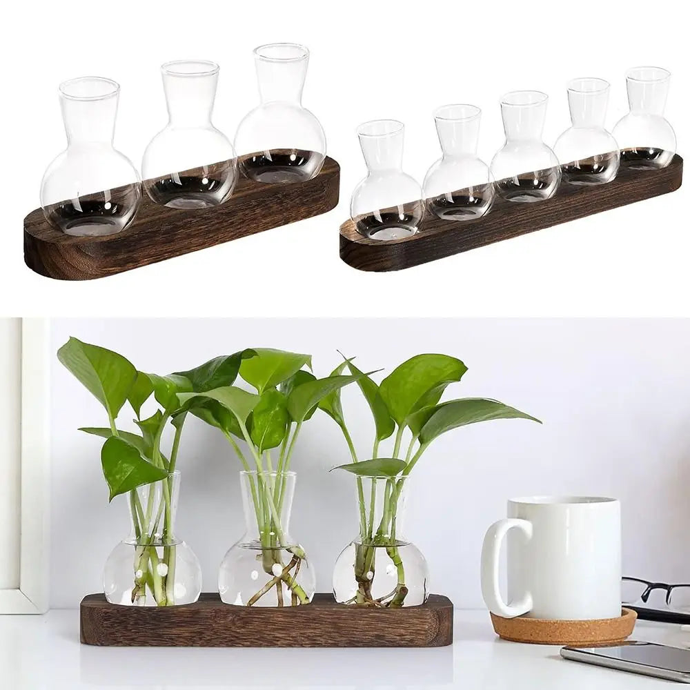 DecorBites™ Hydroponic Glass Vase with Wooden Tray