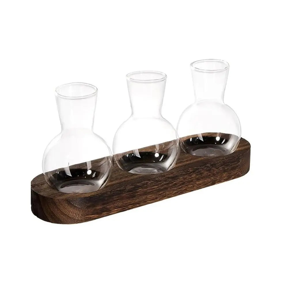 DecorBites™ Hydroponic Glass Vase with Wooden Tray