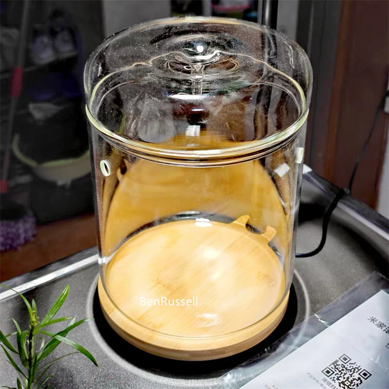 DecorBites™ Mini Glass Bottle Terrarium Kit - Home Decor