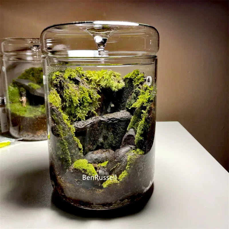 DecorBites™ Mini Glass Bottle Terrarium Kit - Home Decor