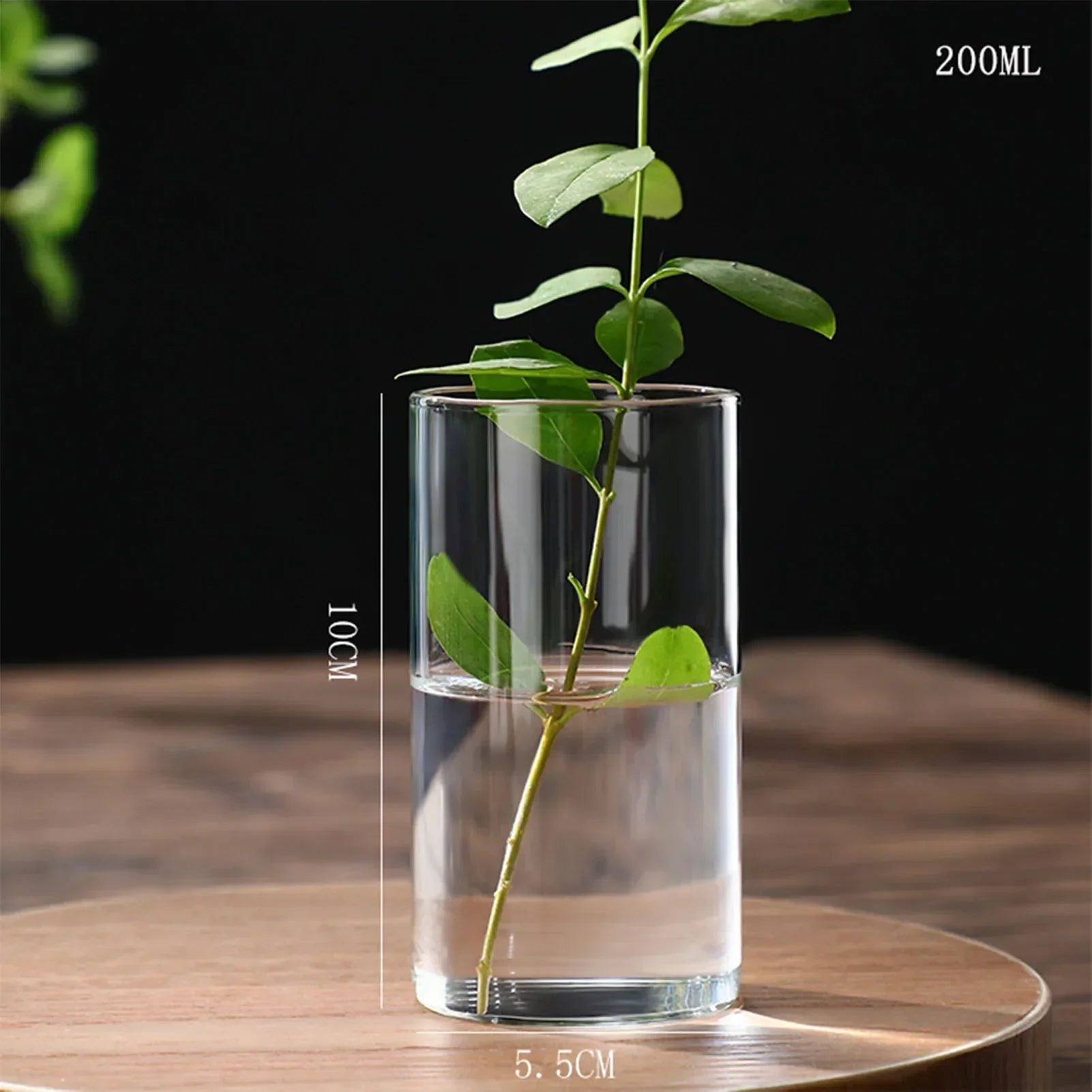 DecorBites™ Modern Glass Hydroponic Vase for Wedding Decor