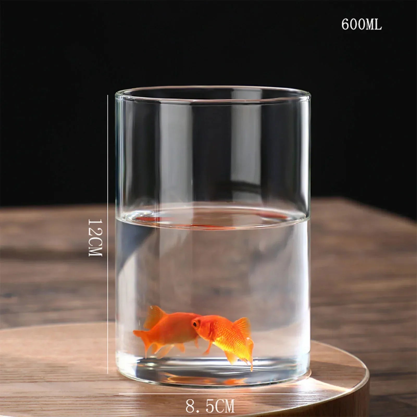 DecorBites™ Modern Glass Hydroponic Vase for Wedding Decor