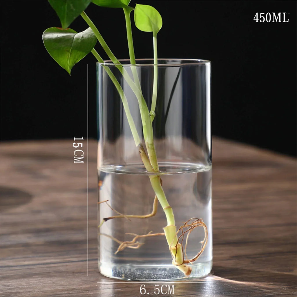DecorBites™ Modern Glass Hydroponic Vase for Wedding Decor