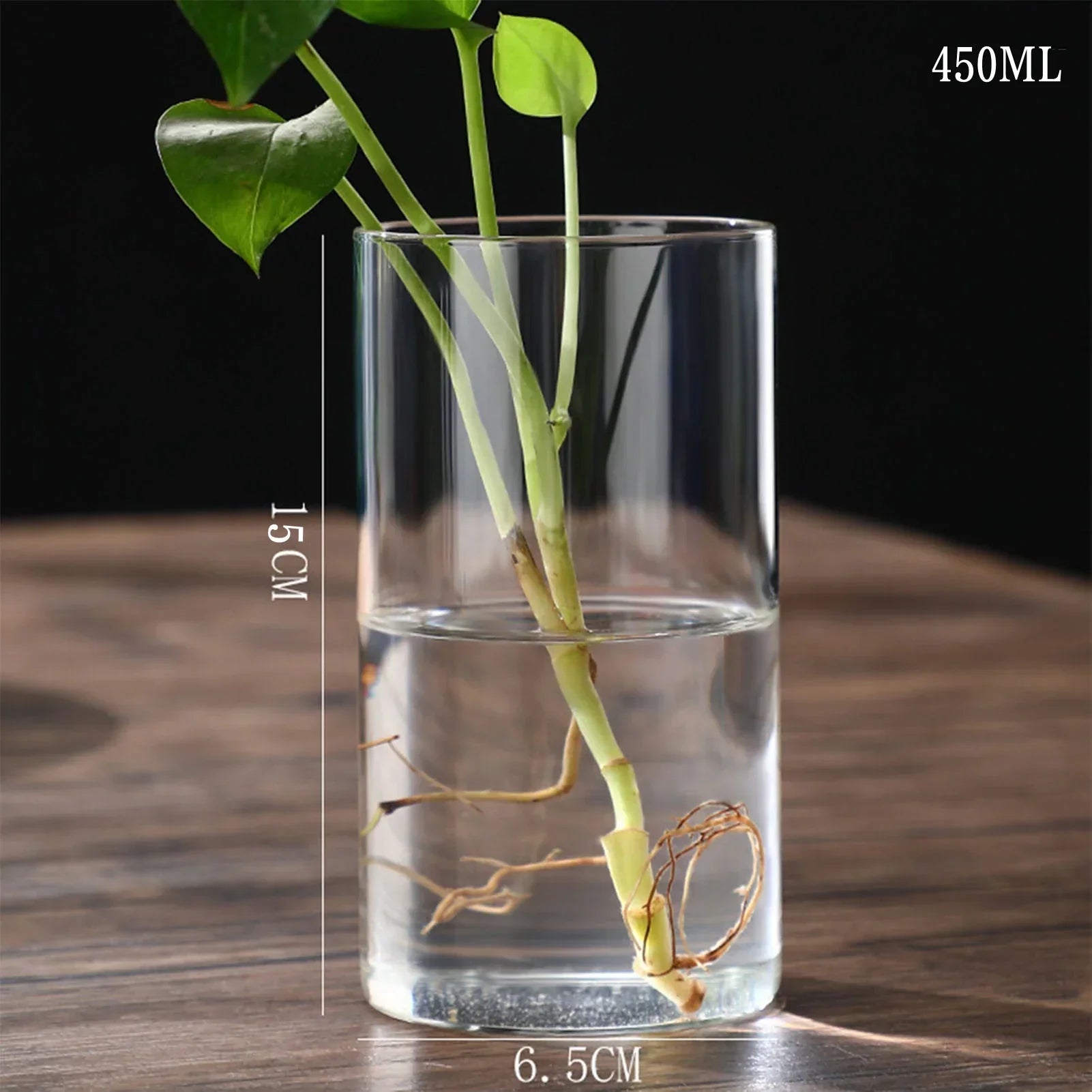 DecorBites™ Modern Glass Hydroponic Vase for Wedding Decor