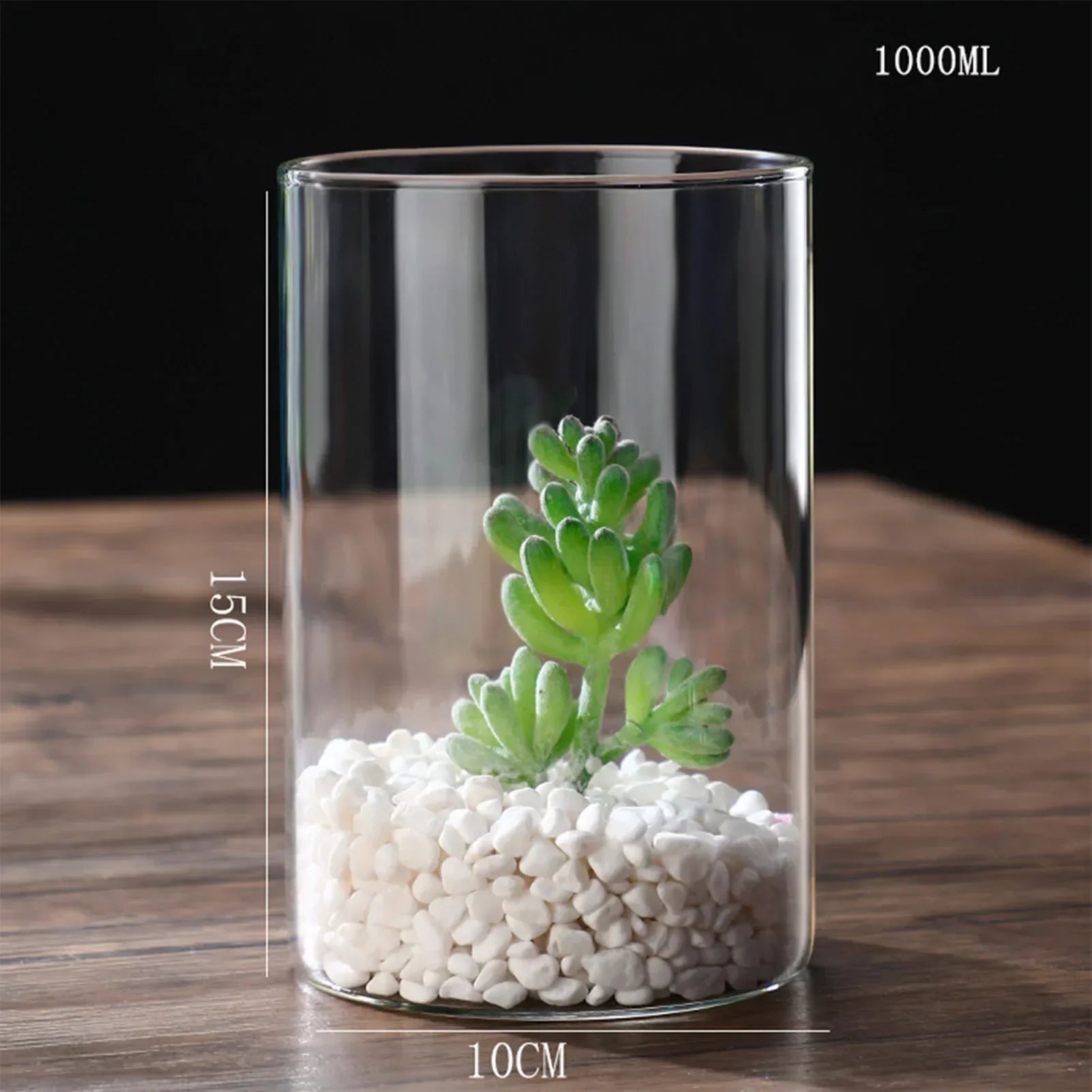 DecorBites™ Modern Glass Hydroponic Vase for Wedding Decor