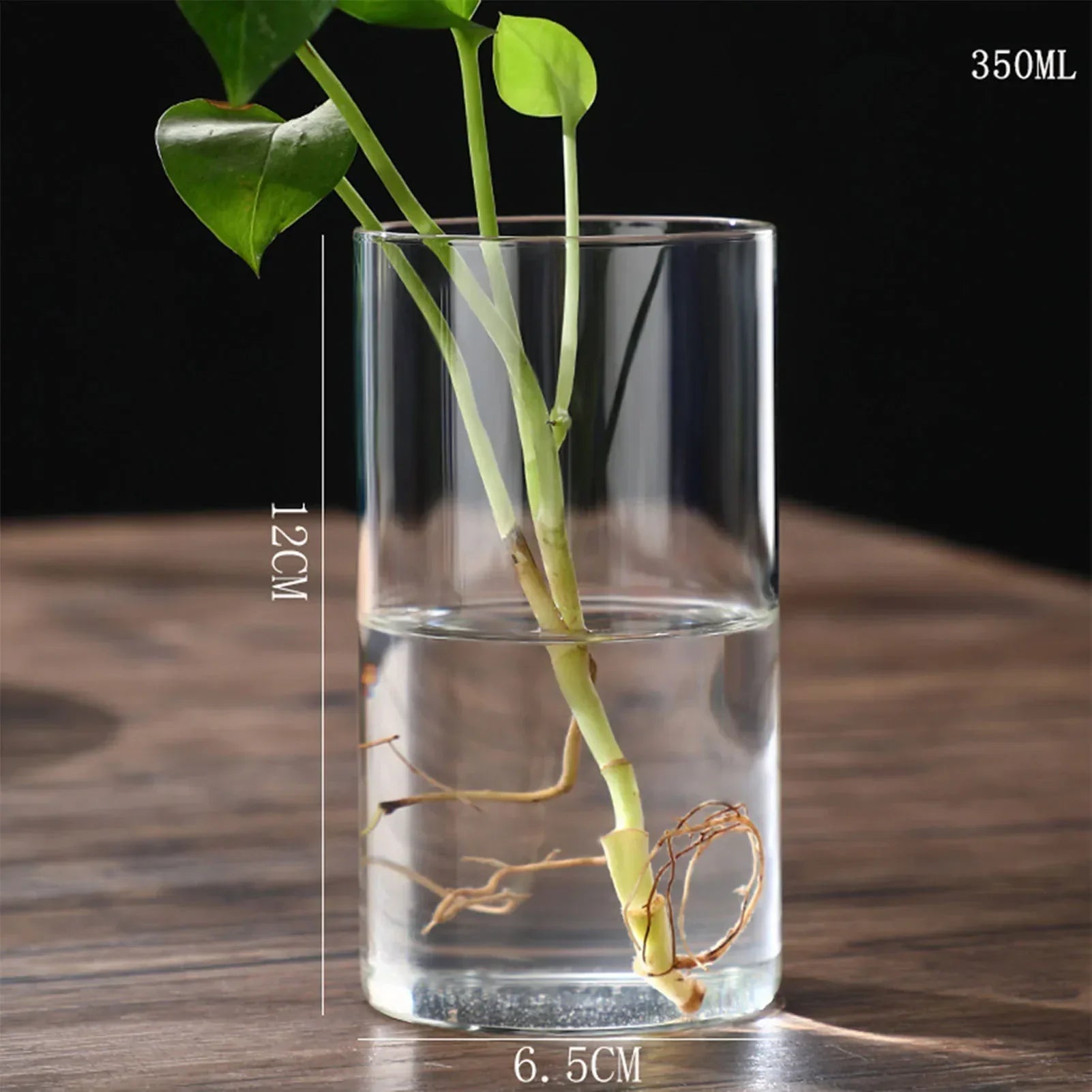 DecorBites™ Modern Glass Hydroponic Vase for Wedding Decor