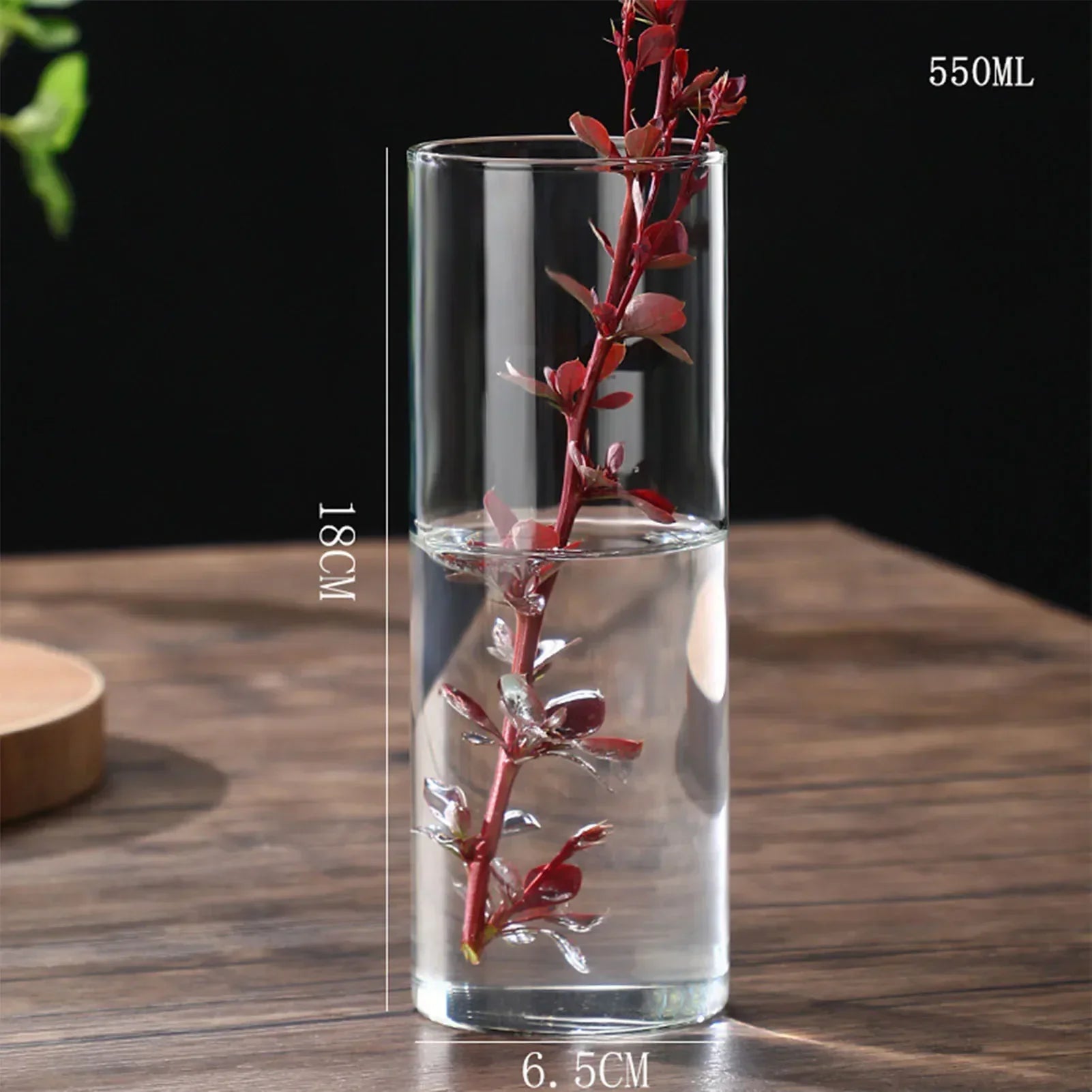 DecorBites™ Modern Glass Hydroponic Vase for Wedding Decor