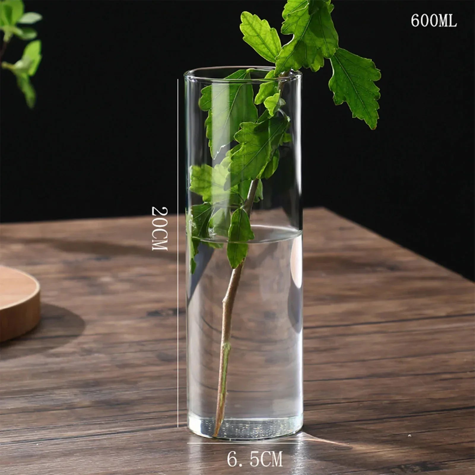 DecorBites™ Modern Glass Hydroponic Vase for Wedding Decor