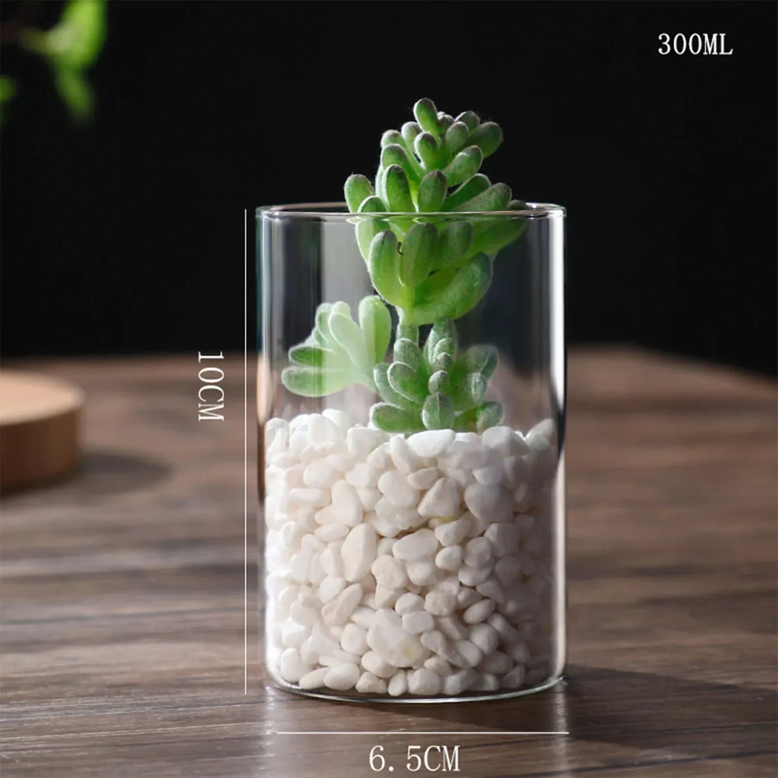 DecorBites™ Modern Glass Hydroponic Vase for Wedding Decor