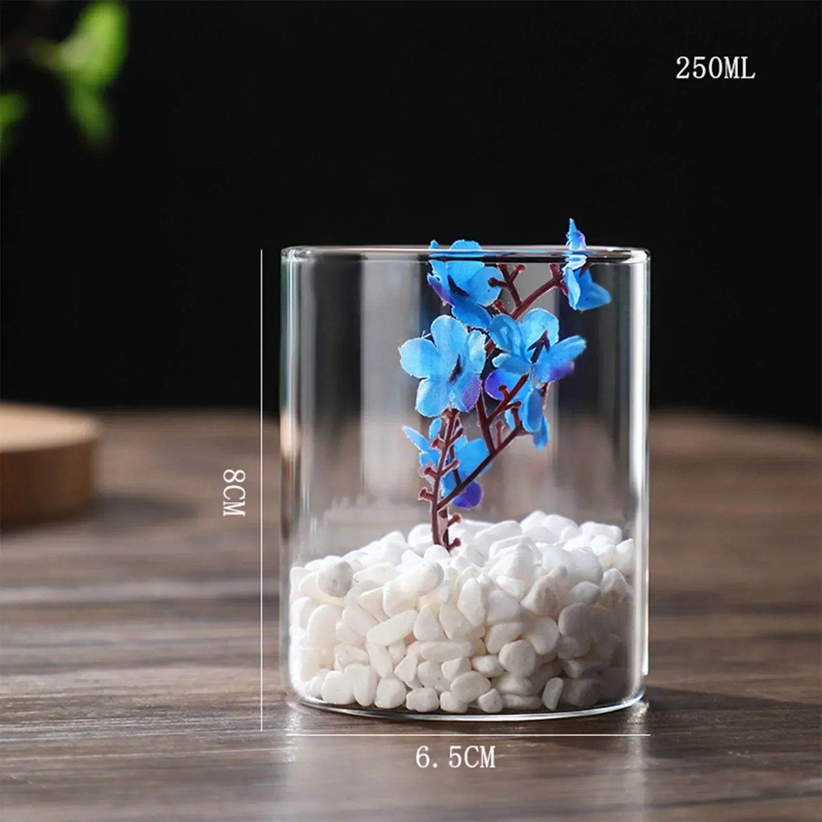 DecorBites™ Modern Glass Hydroponic Vase for Wedding Decor