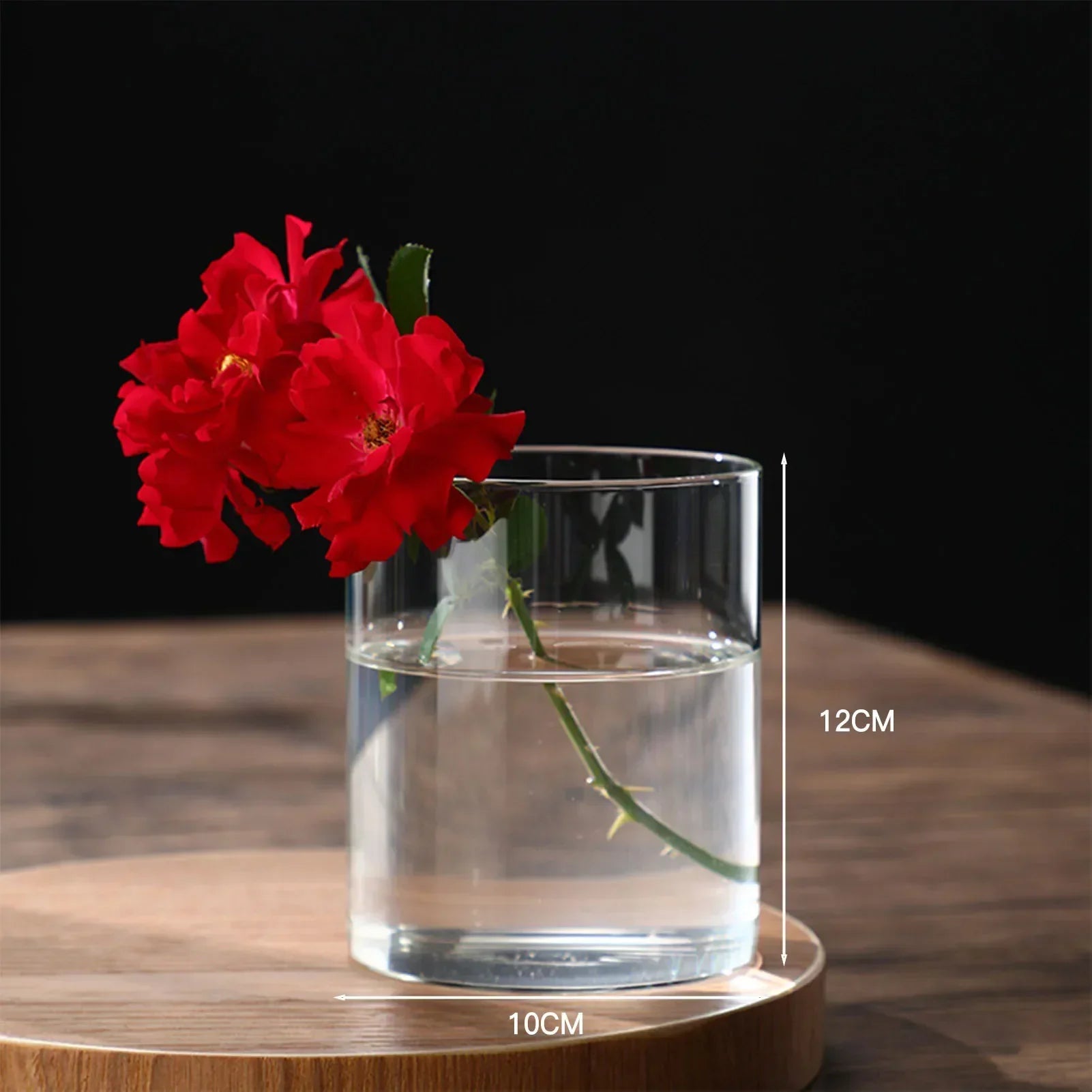 DecorBites™ Modern Glass Hydroponic Vase for Wedding Decor